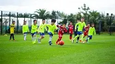 万博体育Manbetx平台 产品 054647 wkr